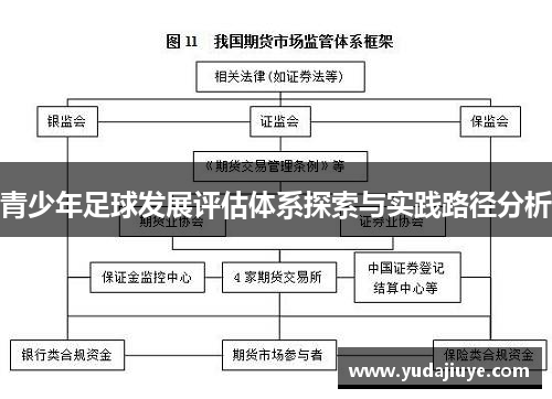 青少年足球发展评估体系探索与实践路径分析