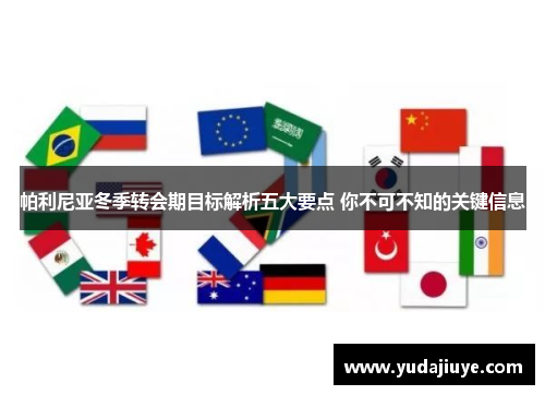 帕利尼亚冬季转会期目标解析五大要点 你不可不知的关键信息