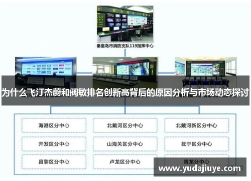 为什么飞汀杰蔚和阀敏排名创新高背后的原因分析与市场动态探讨