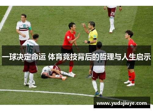 一球决定命运 体育竞技背后的哲理与人生启示