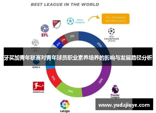 牙买加青年联赛对青年球员职业素养培养的影响与发展路径分析